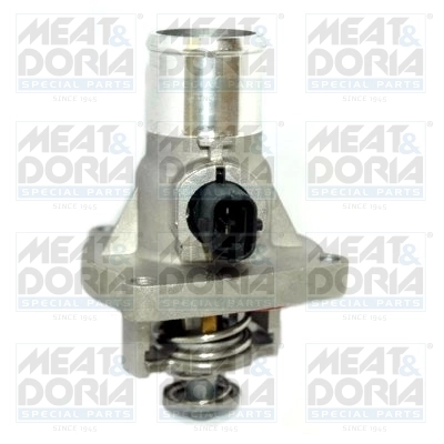 Thermostat, coolant